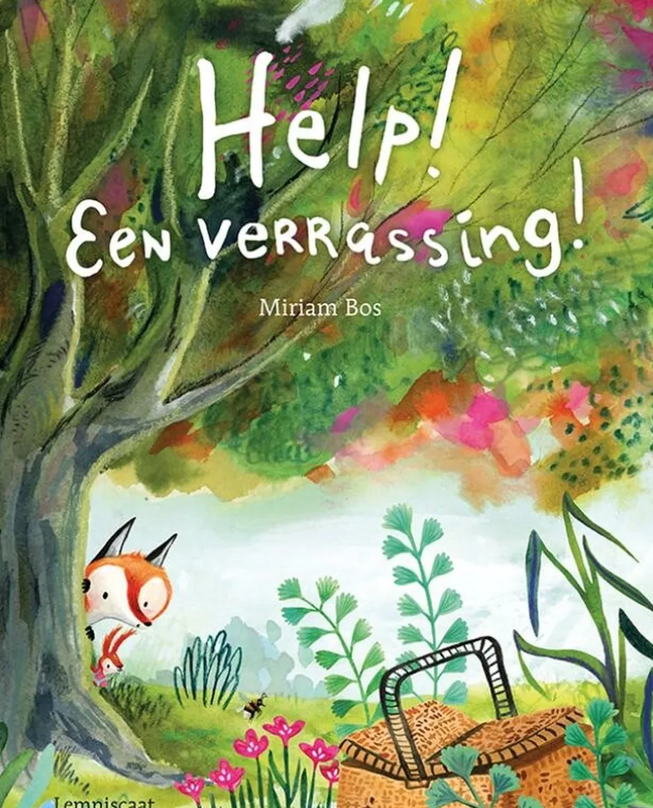 Store Lemniscaat Help! Een Verrassing! - Miriam Bos