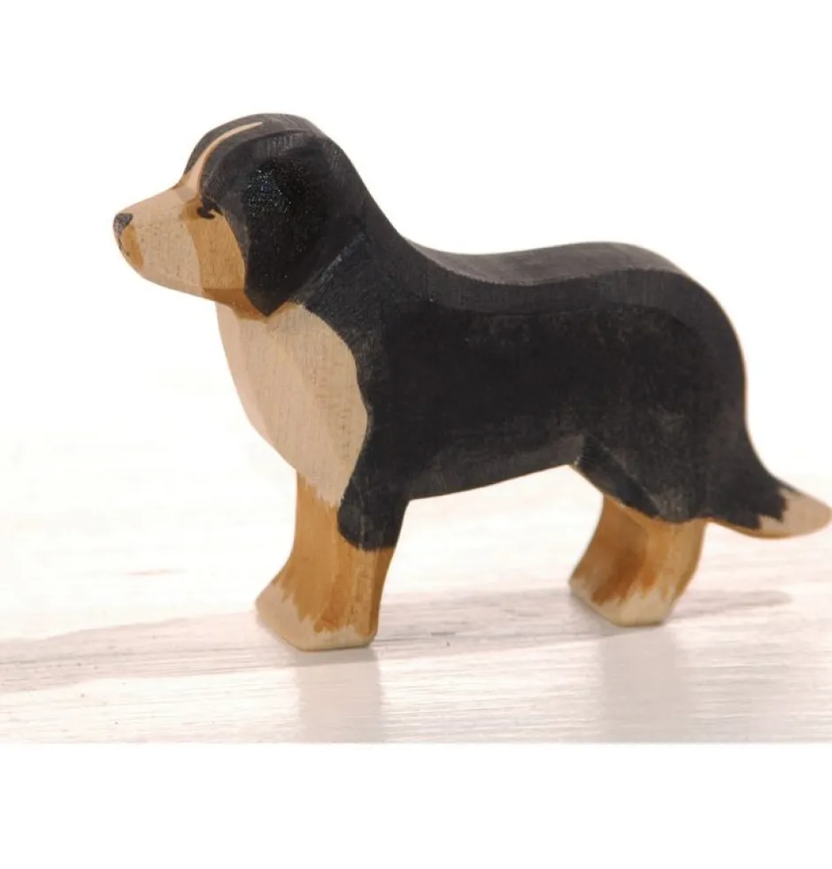 Clearance Ostheimer Berner Sennenhond