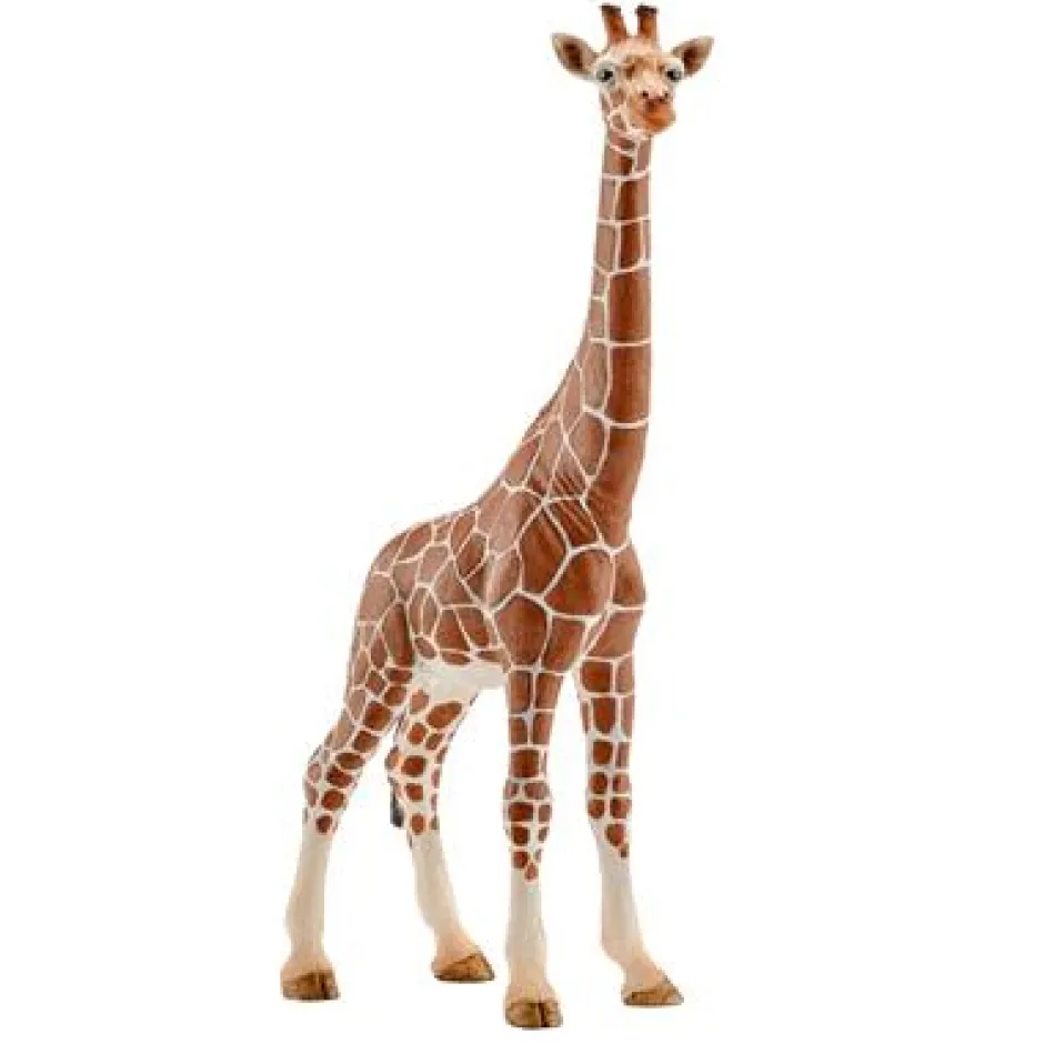 Clearance Schleich Wijfjesgiraf